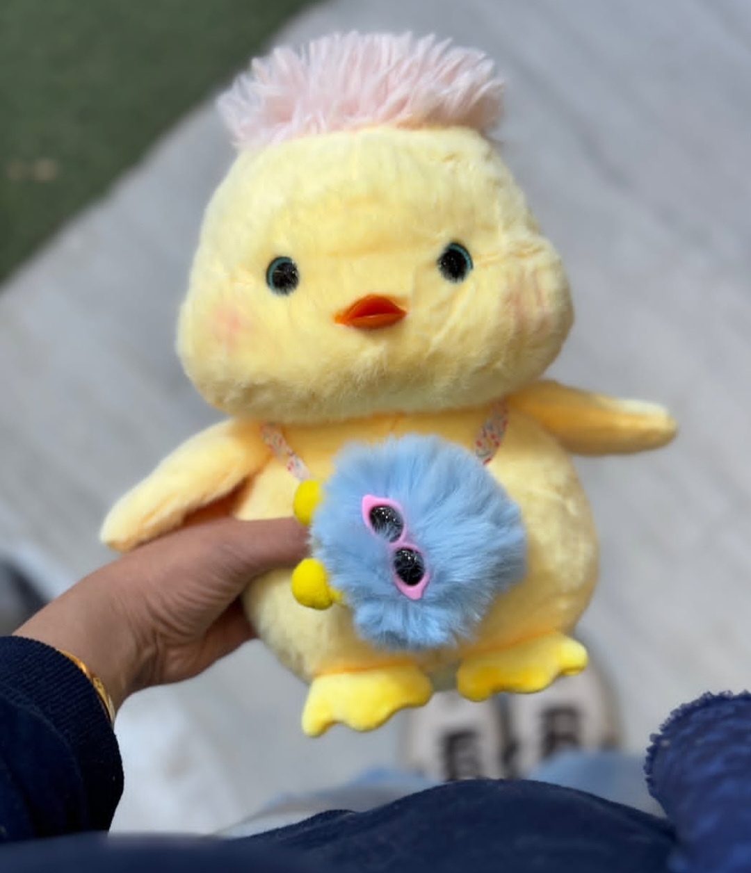 جوجه کاکل دار