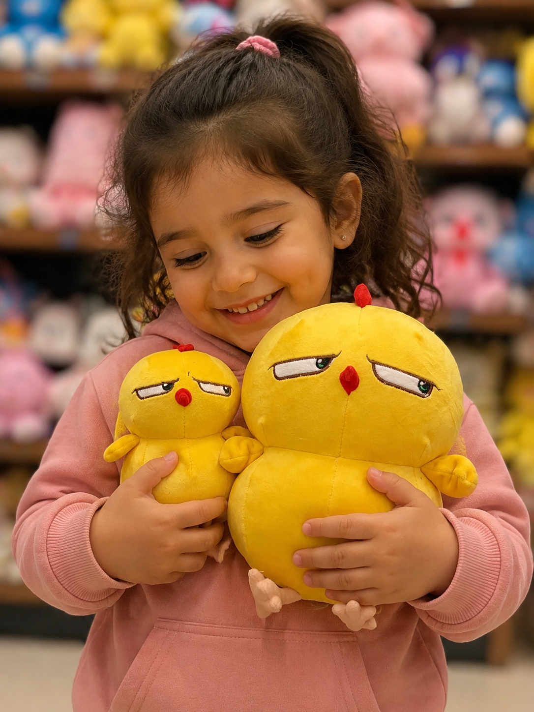 ست جوجه واربی عروسک و آویز
