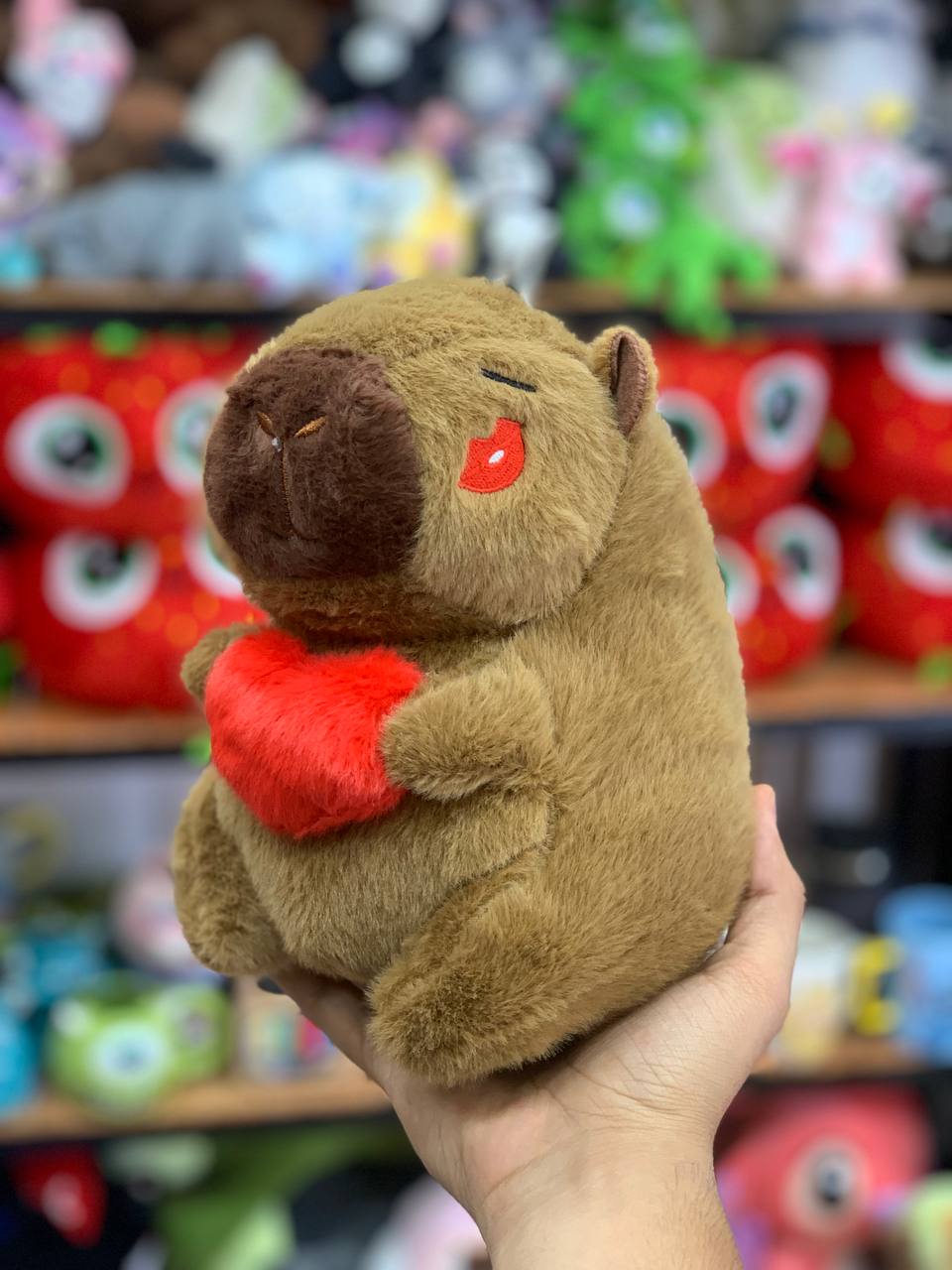 کاپی بارا