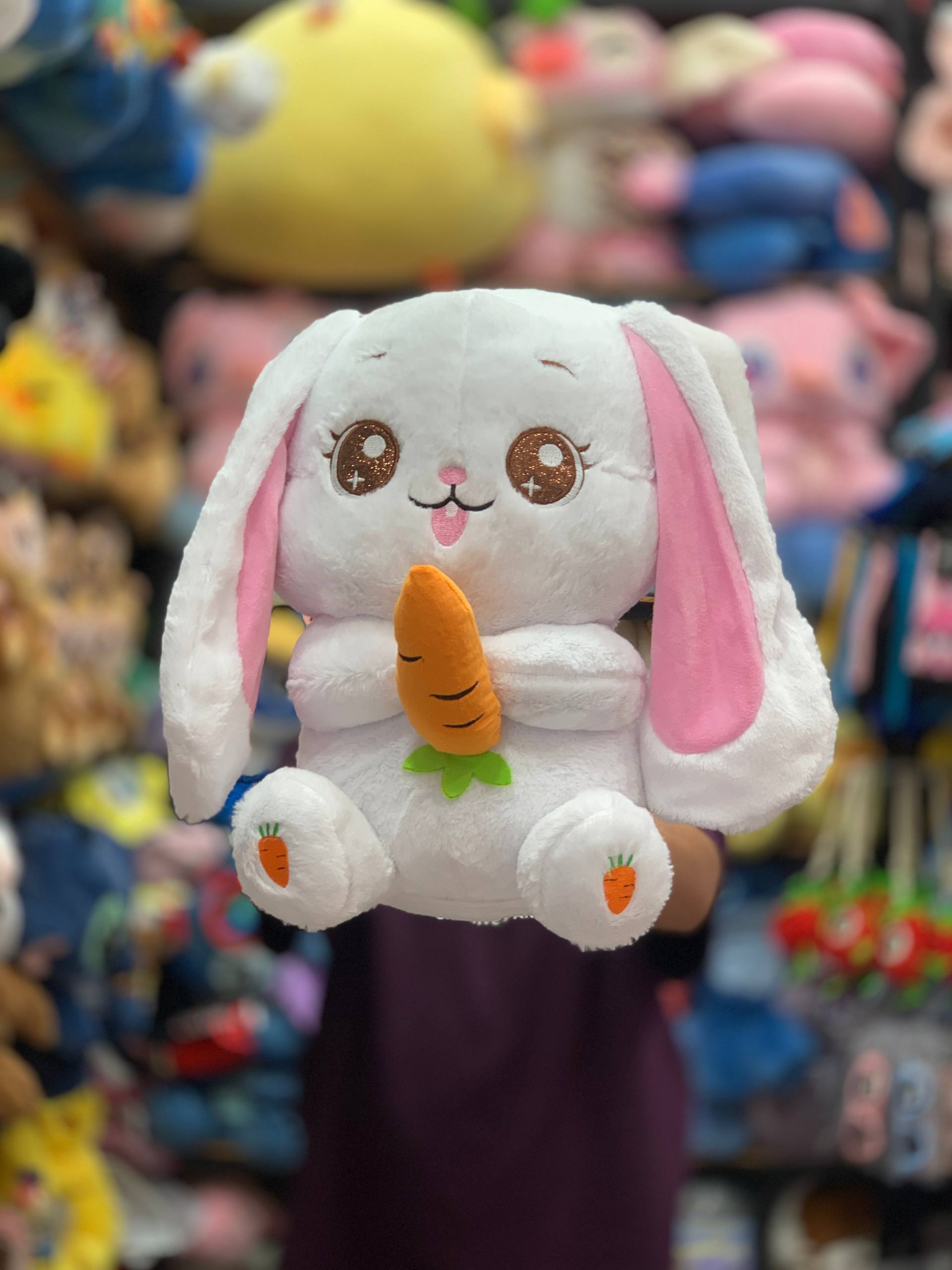 خرگوش هویج بدست